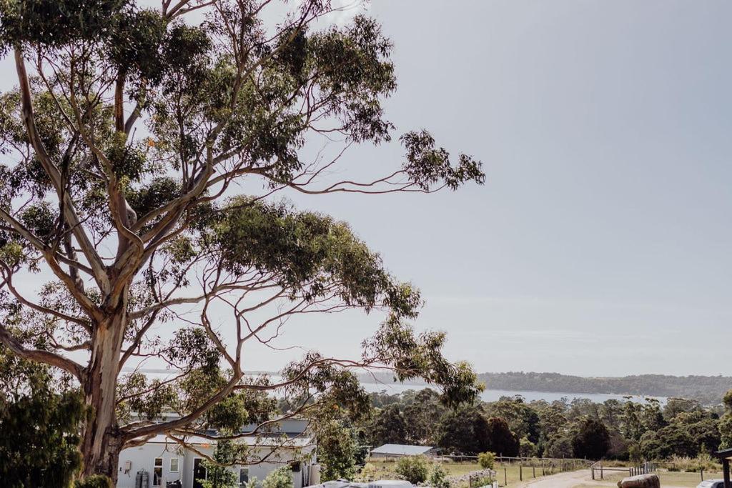 Bayview Lodge - Views Views Views! St Helens Esterno foto